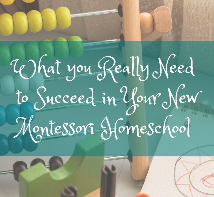 Faster Success In Your New Montessori Homeschool